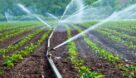 افتتاح طرح آبیاری تحت فشار در اهواز با حضور وزیر کشاورزی