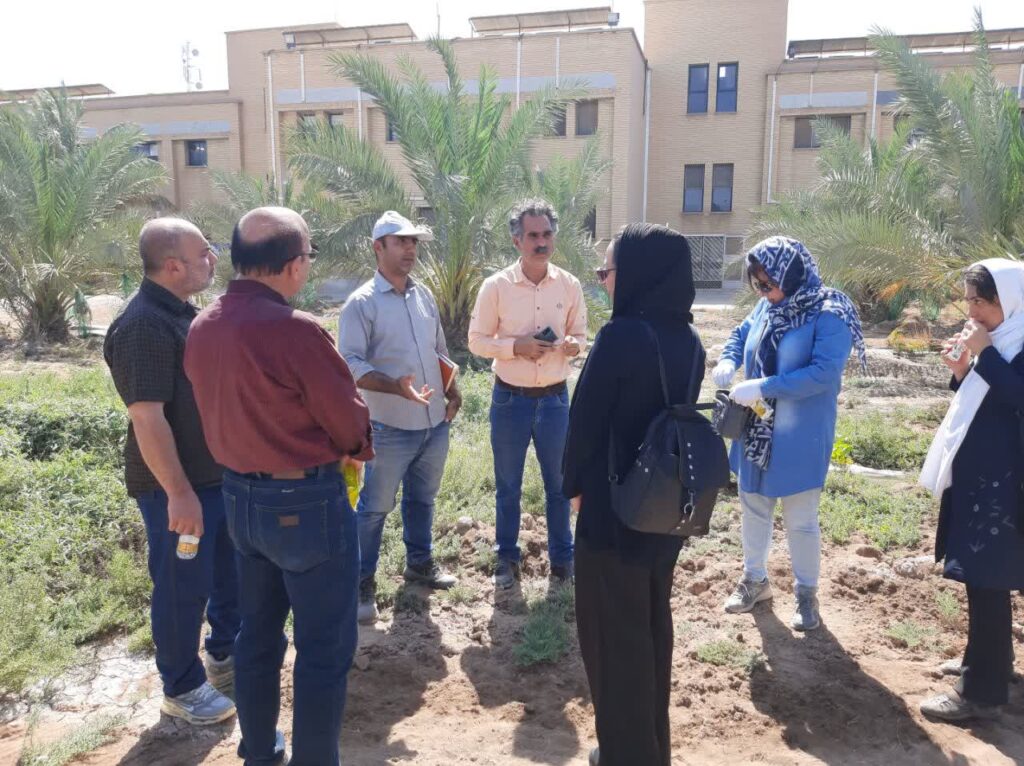 هنرمندان عرصه ادبیات داستانی از صنعت نیشکر بازدید کردند/ مکتب ادبی جنوب شیرین می‌شود