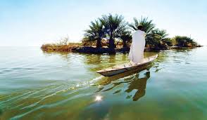 کاهش مساحت تالاب شادگان