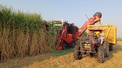 وقتی برای اولین بار از مزارع نیشکر خوزستان دیدن کردم، چیزی فراتر از یک صنعت سنتی توجه مرا جلب کرد: الگویی که بهروشنی نشان میداد کشاورزی، صنعت، محیط زیست و جامعه میتوانند در کنار هم رشد کنند. شرکت توسعه نیشکر و صنایع جانبی در سه دهه گذشته مسیر طولانی و پرفراز و نشیبی را طی کرده است؛ از یک مجموعه تولیدی صرف به سیستمی چندوجهی که ارزشآفرینی، نوآوری و مسئولیت اجتماعی را با هم ترکیب میکند. تجربه نشان داده است که موفقیت در اقتصاد امروز، فقط با تولید حاصل نمیشود. صنعت نیشکر دقیقاً همین اصل را دنبال میکند؛ ساختار زنجیرهای آن از مزارع تا تولید کاغذ، MDF، خوراک دام، الکل و برق نیشکری، نمونهای از یک زنجیره ارزش واقعی است. هر بخش، بخشی از یک کل منسجم است؛ پیوندی که دوام کل مجموعه را تضمین میکند. اما راز موفقیت نیشکر تنها طراحی ساختار نیست. عبور از الگوی تکمحصولی، سرمایهگذاری در انرژیهای تجدیدپذیر و ورود به محصولات دانشبنیان، نشانه بلوغ مدیریتی این صنعت است. این تحول، نیشکر را در برابر نوسانات بازار، تغییرات اقلیمی و بحرانهای جهانی مقاوم کرده است. سرمایه انسانی محور توسعه در این صنعت است. وقتی با کارکنان صحبت میکنم، میبینم که آموزش، رفاه و امنیت شغلی نه تنها بهرهوری را افزایش میدهد، بلکه حس تعلق و تعهد سازمانی را تقویت میکند. هر کارمند، به نوعی بخشی از برند نیشکر است و این همان چیزی است که در مدیریت نوین از آن با عنوان «بازاریابی درونسازمانی» یاد میشود. اعتبار اجتماعی نیشکر نیز قابل توجه است. اجرای طرحهای زیستمحیطی، تولید انرژی پاک از باگاس و توسعه گردشگری صنعتی، تصویری مثبت از برند سبز و مسئول اجتماعی در ذهن جامعه ساخته است. سرمایه اعتماد عمومی، چیزی است که هیچ ترازنامهای نمیتواند آن را بسنجد. در سالهای اخیر، با گسترش سامانههای هوشمند کشاورزی و تحلیل دادههای تولید، نیشکر توانسته به سازمانی یادگیرنده بدل شود؛ سازمانی که از تجربه و بازخورد برای بهبود مستمر بهره میگیرد. همکاری نزدیک میان واحدهای مختلف هلدینگ، از کشاورزی تا خدمات و تحقیق، نمونهای از مدیریت شبکهای مدرن است که انعطافپذیری و نوآوری را در سراسر ساختار تقویت میکند. اقتصاد منطقهای نیز از این رویکرد سود برده است. نیشکر توانسته تعادل عرضه و تقاضا را حفظ کند و با ورود به بازارهای صادراتی، مزیت رقابتی خود را ارتقا دهد. در نهایت، توسعه نیشکر نه فقط پروژهای صنعتی، بلکه نمونهای زنده از توسعه پایدار منطقهای است؛ اشتغالزایی، تقویت زیرساختها و بهبود کیفیت زندگی مردم بومی، گواه این ادعاست. تجربه نیشکر نشان میدهد که با تکیه بر دانش، انسانمحوری و آیندهنگری، میتوان در هر شرایطی حتی گرمترین اقلیمها، مسیر توسعه را هموار کرد. این صنعت نه تنها محصول تولید میکند، بلکه تجربهای مدیریتی به ما ارائه میدهد که علم و عمل، اقتصاد و طبیعت و انسان و ارزشآفرینی را هماهنگ در کنار هم قرار داده است.