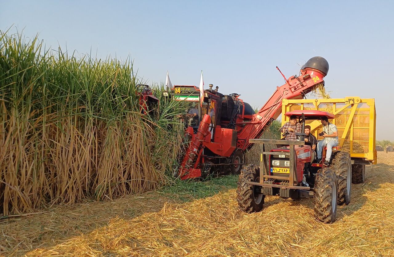 وقتی برای اولین بار از مزارع نیشکر خوزستان دیدن کردم، چیزی فراتر از یک صنعت سنتی توجه مرا جلب کرد: الگویی که به‌روشنی نشان می‌داد کشاورزی، صنعت، محیط زیست و جامعه می‌توانند در کنار هم رشد کنند. شرکت توسعه نیشکر و صنایع جانبی در سه دهه گذشته مسیر طولانی و پرفراز و نشیبی را طی کرده است؛ از یک مجموعه تولیدی صرف به سیستمی چندوجهی که ارزش‌آفرینی، نوآوری و مسئولیت اجتماعی را با هم ترکیب می‌کند. تجربه نشان داده است که موفقیت در اقتصاد امروز، فقط با تولید حاصل نمی‌شود. صنعت نیشکر دقیقاً همین اصل را دنبال می‌کند؛ ساختار زنجیره‌ای آن از مزارع تا تولید کاغذ، MDF، خوراک دام، الکل و برق نیشکری، نمونه‌ای از یک زنجیره ارزش واقعی است. هر بخش، بخشی از یک کل منسجم است؛ پیوندی که دوام کل مجموعه را تضمین می‌کند. اما راز موفقیت نیشکر تنها طراحی ساختار نیست. عبور از الگوی تک‌محصولی، سرمایه‌گذاری در انرژی‌های تجدیدپذیر و ورود به محصولات دانش‌بنیان، نشانه بلوغ مدیریتی این صنعت است. این تحول، نیشکر را در برابر نوسانات بازار، تغییرات اقلیمی و بحران‌های جهانی مقاوم کرده است. سرمایه انسانی محور توسعه در این صنعت است. وقتی با کارکنان صحبت می‌کنم، می‌بینم که آموزش، رفاه و امنیت شغلی نه تنها بهره‌وری را افزایش می‌دهد، بلکه حس تعلق و تعهد سازمانی را تقویت می‌کند. هر کارمند، به نوعی بخشی از برند نیشکر است و این همان چیزی است که در مدیریت نوین از آن با عنوان «بازاریابی درون‌سازمانی» یاد می‌شود. اعتبار اجتماعی نیشکر نیز قابل توجه است. اجرای طرح‌های زیست‌محیطی، تولید انرژی پاک از باگاس و توسعه گردشگری صنعتی، تصویری مثبت از برند سبز و مسئول اجتماعی در ذهن جامعه ساخته است. سرمایه اعتماد عمومی، چیزی است که هیچ ترازنامه‌ای نمی‌تواند آن را بسنجد. در سال‌های اخیر، با گسترش سامانه‌های هوشمند کشاورزی و تحلیل داده‌های تولید، نیشکر توانسته به سازمانی یادگیرنده بدل شود؛ سازمانی که از تجربه و بازخورد برای بهبود مستمر بهره می‌گیرد. همکاری نزدیک میان واحدهای مختلف هلدینگ، از کشاورزی تا خدمات و تحقیق، نمونه‌ای از مدیریت شبکه‌ای مدرن است که انعطاف‌پذیری و نوآوری را در سراسر ساختار تقویت می‌کند. اقتصاد منطقه‌ای نیز از این رویکرد سود برده است. نیشکر توانسته تعادل عرضه و تقاضا را حفظ کند و با ورود به بازارهای صادراتی، مزیت رقابتی خود را ارتقا دهد. در نهایت، توسعه نیشکر نه فقط پروژه‌ای صنعتی، بلکه نمونه‌ای زنده از توسعه پایدار منطقه‌ای است؛ اشتغال‌زایی، تقویت زیرساخت‌ها و بهبود کیفیت زندگی مردم بومی، گواه این ادعاست. تجربه نیشکر نشان می‌دهد که با تکیه بر دانش، انسان‌محوری و آینده‌نگری، می‌توان در هر شرایطی حتی گرم‌ترین اقلیم‌ها، مسیر توسعه را هموار کرد. این صنعت نه تنها محصول تولید می‌کند، بلکه تجربه‌ای مدیریتی به ما ارائه می‌دهد که علم و عمل، اقتصاد و طبیعت و انسان و ارزش‌آفرینی را هماهنگ در کنار هم قرار داده است.