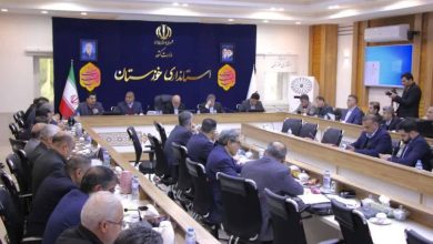 سیدمحمدرضا موالیزاده