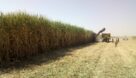 وزیرجهاد کشاورزی: نگاه ویژه‌ای به کشاورزی خوزستان خواهیم داشت
