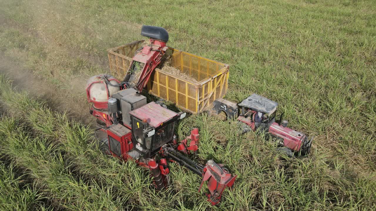 نیشکر ریه تنفسی خوزستان؛ پمپاژ سالانه ۹۰۰ هزار تُن اکسیژن به طبیعت