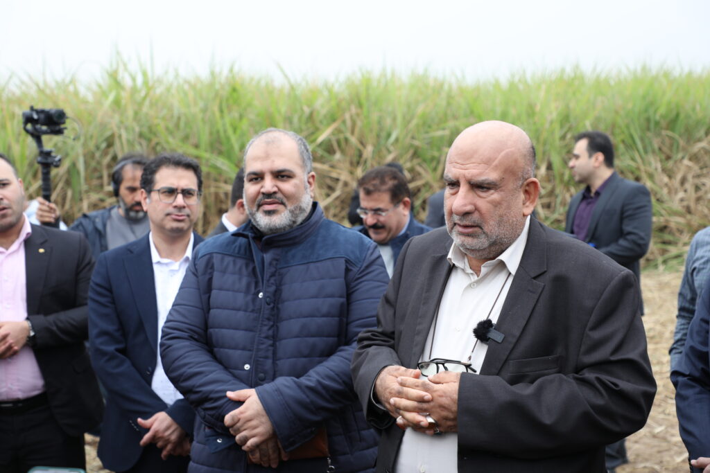 شرکت توسعه نیشکر و صنایع جانبی